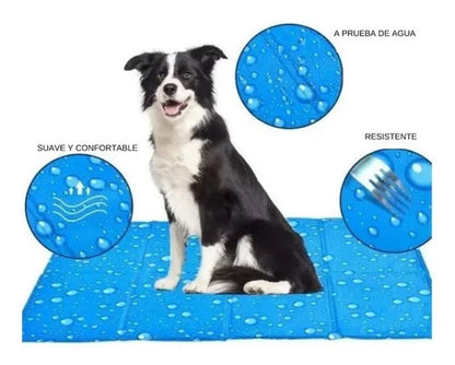 CoolPet™ Manta de Gel Frío: Verano sin Calor ❄️🐶🐱