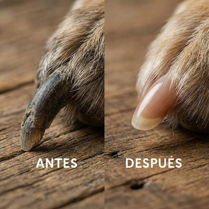 PawPerfect™ Cortador Seguro Sin Estrés